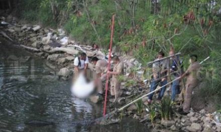 VIDEO. Cocodrilo mata a mujer que lavaba ropa en Tamaulipas