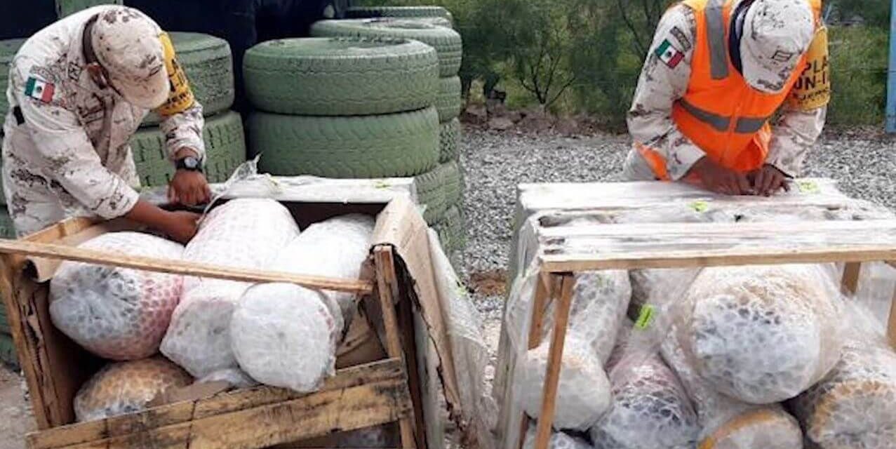 Elementos de la SEDENA decomisan droga en Piedras Negras