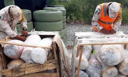 Elementos de la SEDENA decomisan droga en Piedras Negras