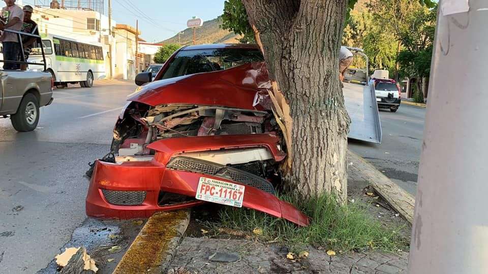 Termina su festejo de cumpleaños chocando contra un árbol