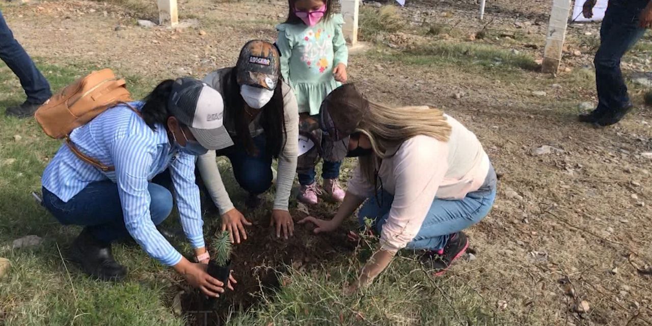 Lobos de la UAdeC reforestan Zapalinamé