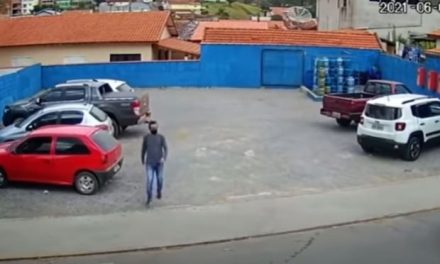 VIDEO. Perro lo atropella y lo deja con terrible lesión en la espalda