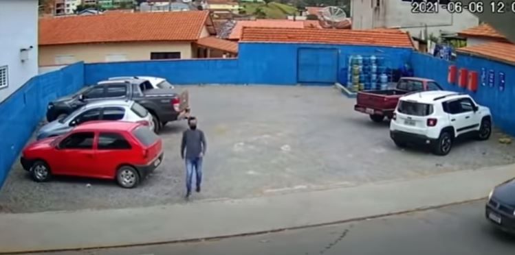 VIDEO. Perro lo atropella y lo deja con terrible lesión en la espalda