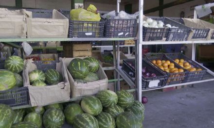Lluvias recientes ayudan poco a productores