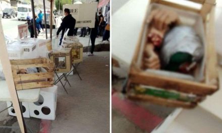 Arrojan dos cabezas y restos humanos en casilla para votar