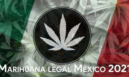 VIDEO | Todo lo que debes saber sobre el uso lúdico de la marihuana