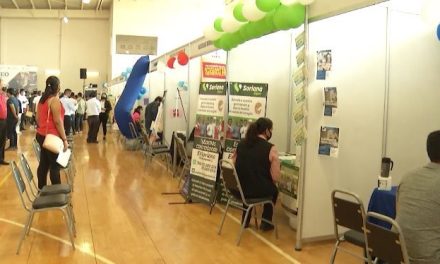 Ofertan 800 vacantes en feria del empleo