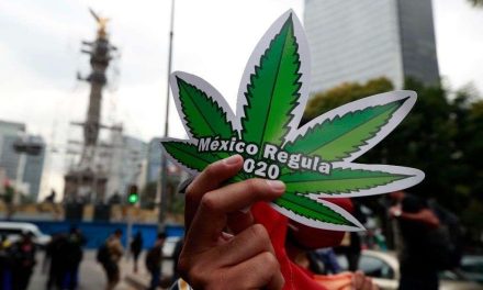 Analizan en SCJN uso lúdico de la marihuana