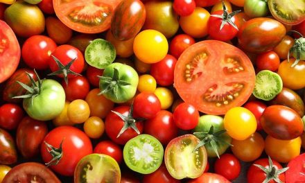 Seis variedades de tomates que alguna vez has comido y no lo sabías