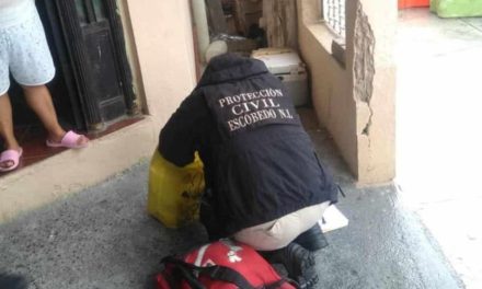 Bebé abandonada en bolsa de basura nació muerta en Nuevo León