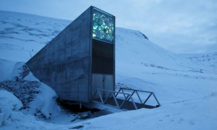 Crearán ‘bóveda del fin del mundo’ para salvaguardar música