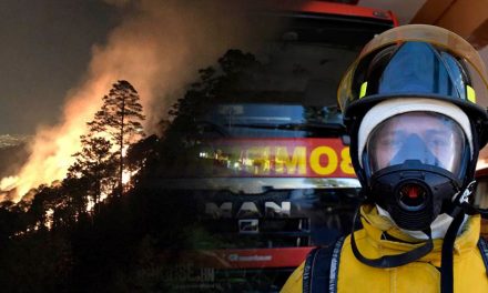 Revelación de sexo provoca incendio forestal y muerte de bombero en Estados Unidos