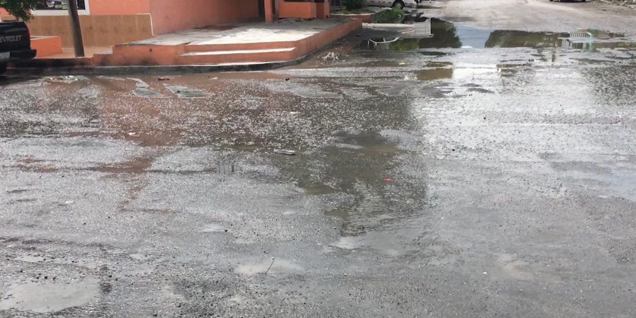 Brotan aguas negras de una alcantarilla en colonia de Saltillo
