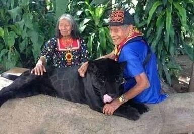 Abuelos cuidan a Jaguar negro