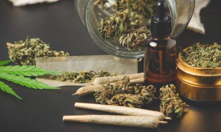 SCJN publica declaratoria que despenaliza uso lúdico del cannabis