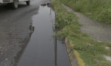 Ocho casos de dengue en Región Sureste