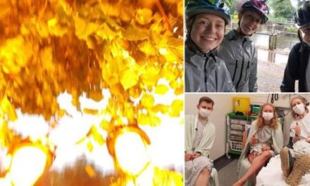 ¡Increíble! Rayo alcanza a tres hermanos que se tomaban una selfie