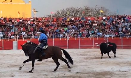 Piden que regresen a Coahuila las corridas de Toros