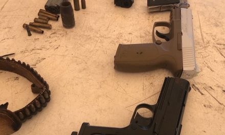 Día productivo en módulo de Canje de Armas en Saltillo
