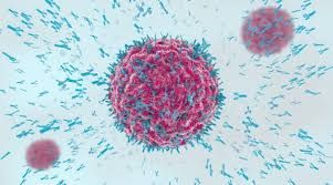 Descubren ‘superanticuerpo’ capaz de combatir COVID y otros virus