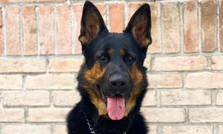 ‘Cadete’ el perro policía de Saltillo Coahuila está de fiesta