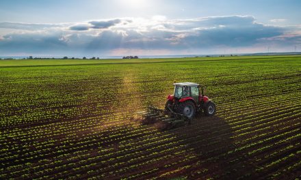 Diputada pide apoyos para el campo de Coahuila