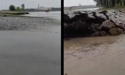 VIDEO | Se lavanta la tierra, ve el viral suceso