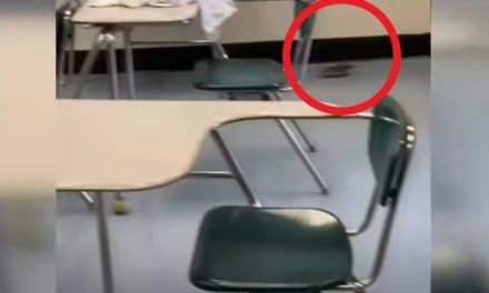 Ratas se apoderan de escuela y retrasan regreso a clases (video)