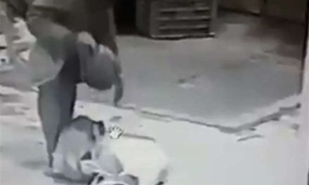 Pasea en Puebla con cabeza humana en la mochila