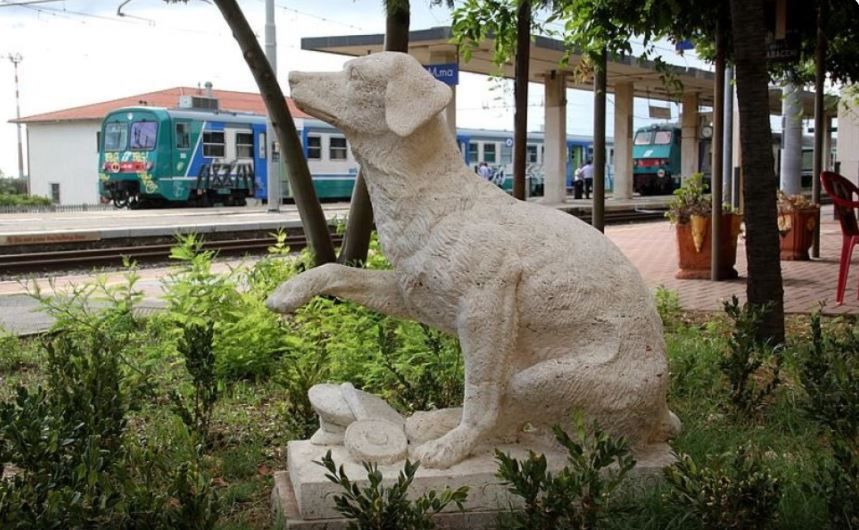 Conoce a Lampo el ‘lomito’ que aprendió a usar el tren para visitar a su amigo