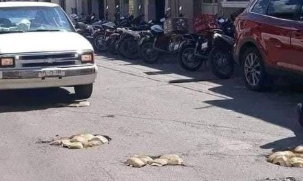 Ingenio nivel… tapan baches con cocos en las calles de Nayarit