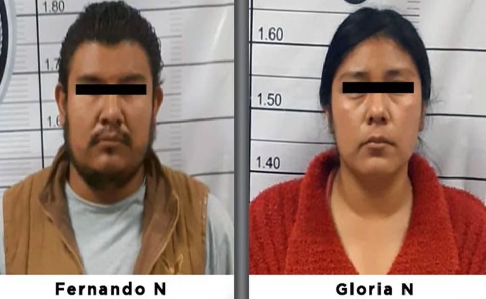 Dos personas son vinculadas a proceso por matar a golpes a perro