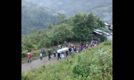 Niño pierde la vida en ataque de puma en Oaxaca