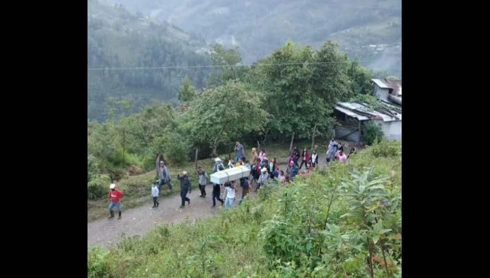 Niño pierde la vida en ataque de puma en Oaxaca