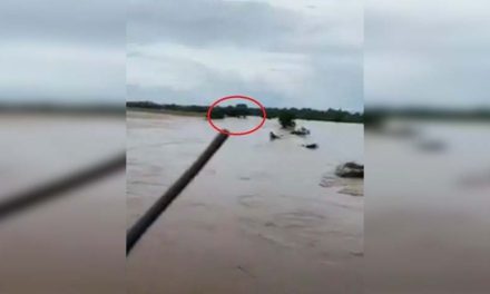 4 personas atrapadas en un árbol tras el crecimiento de la corriente en un arroyo de Sinaloa