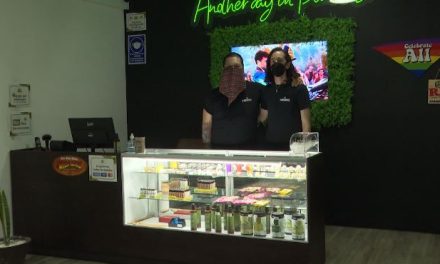 Saltillo tiene tienda de productos cannábicos
