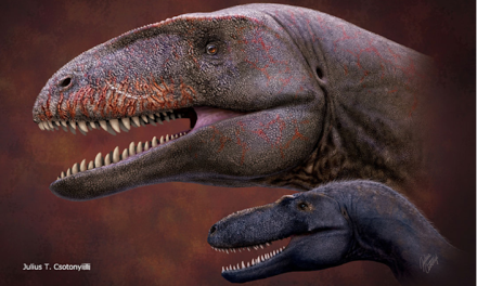 Científicos descubren un gigantosaurio con dientes de tiburón