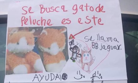 Se unen en redes para que ‘tío Cinépolis’ se sume a la búsqueda de ‘BB Jaguar’