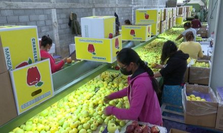 Produce Arteaga buena cosecha en 2021