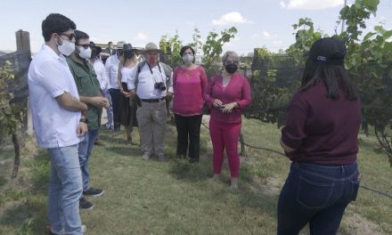 Ruta ‘Vinos y Dinos’ reactiva el turismo en la Región Sureste