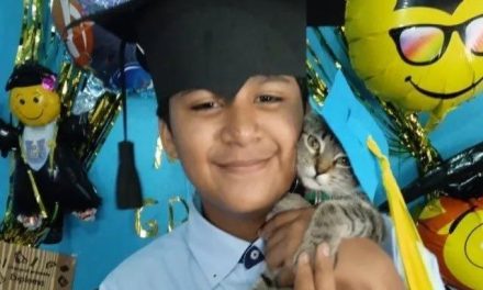 Denle su diploma… gatita se ‘gradúa’ de clases