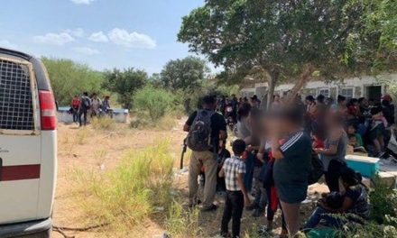 Autoridades rescatan 162 migrantes secuestrados en Tamaulipas (Video)
