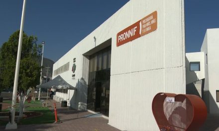 PRONNIF interviene en caso de menor abusada