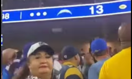 Video: Aficionada provoca pelea en un juego de la NFL