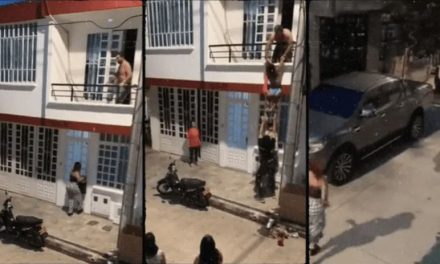 Simio no mata simio; desconocidos le ayudan a bajar a su pequeña amante por balcón (video)