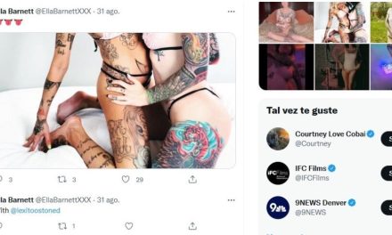 Ahora van por Twitter, la penúltima plataforma que sobrevive al ‘anti-porno’