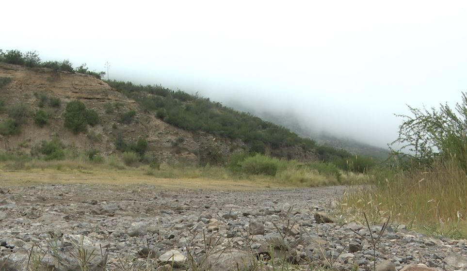 Atiende MUDE a osos atropellados