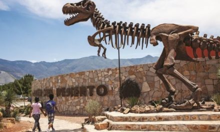 CRIT, Museo del Desierto, Banco de Alimentos y más podrían desaparecer de Saltillo por reforma al ISR