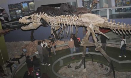 Ofrece MUDE una nueva experiencia a sus visitantes