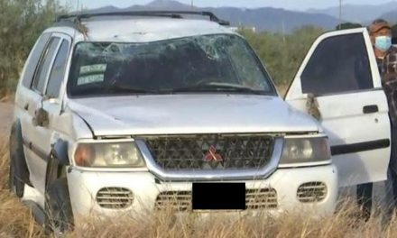 Lomito se le atraviesa y por no atropellarlo termina volcando junto a su esposo en Torreón